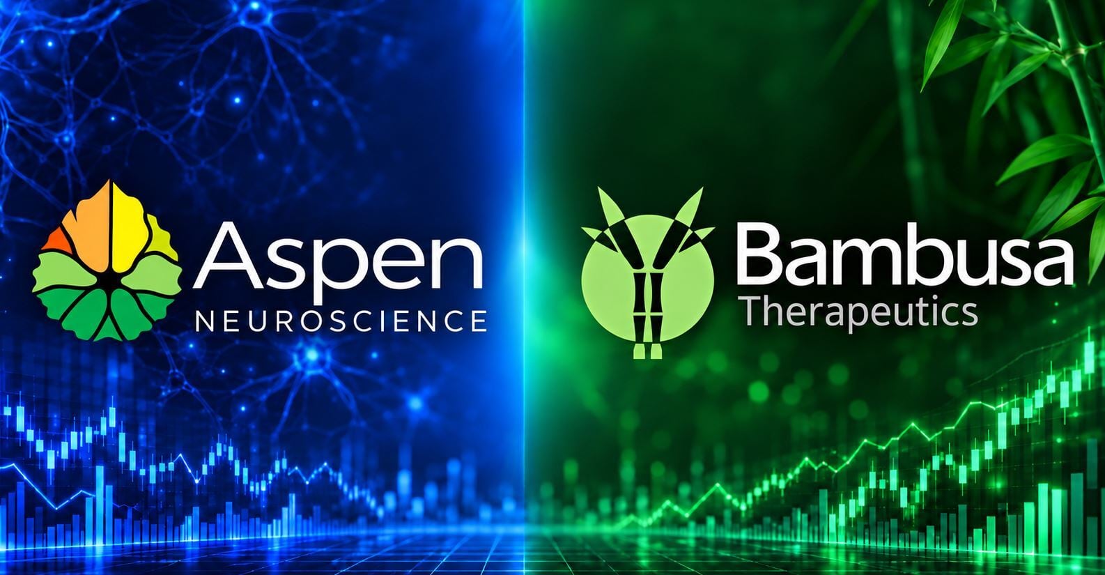 Aspen Neuroscience and Bambusa Therapeutics Each Target $150 Million IPOs