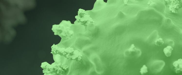 TRex Bio (TRXB) Eyes $125 Million IPO to Advance Immune-Restoring Therapies
